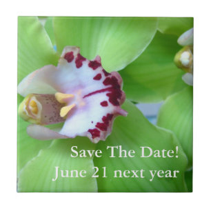 Grönt Cymbidium Orchid Kakelplatta