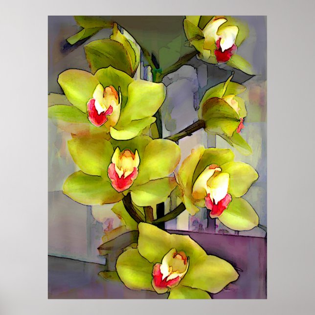 Grönt Cymbidium Orchids Poster (Framsidan)
