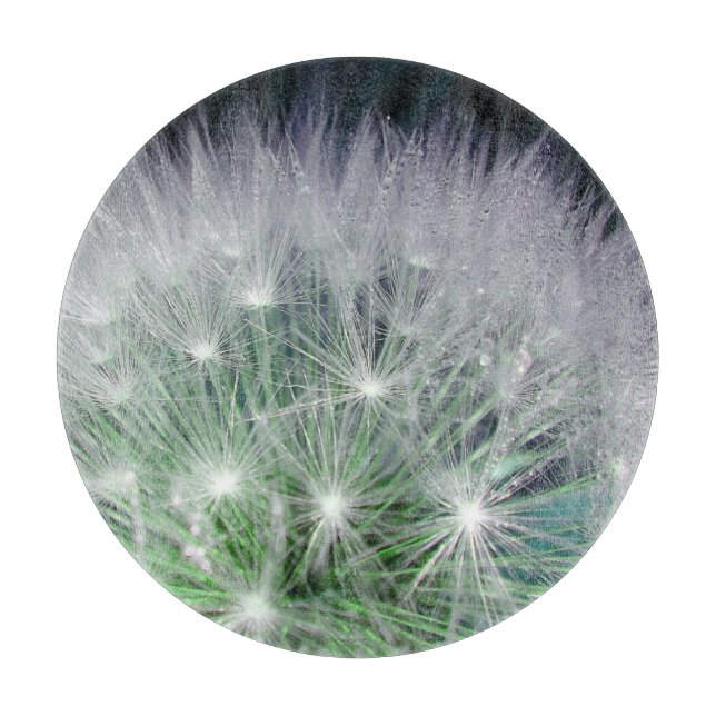 Grönt dandelion med små droppar i vatten (Framsidan)
