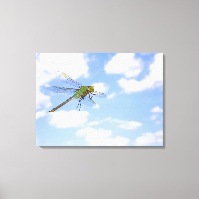 Grönt Darner (Anax junius) som flyger mot Canvastryck (Framsida)