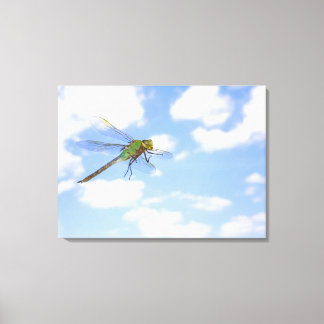Grönt Darner (Anax junius) som flyger mot Canvastryck
