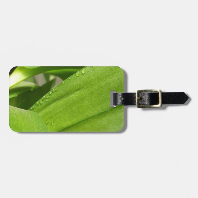 Grönt Dendrobium Orchid plant closeup Bagagebricka (Horisontell Framsida)