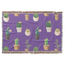 Grönt Dessert Succulent Cactus in Pots