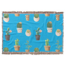 Grönt Dessert Succulent Cactus in Pots