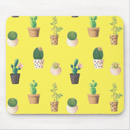 Grönt Dessert Succulent Cactus in Pots Musmatta