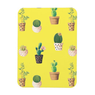 Grönt Dessert Succult Cactus in Pots Magnet