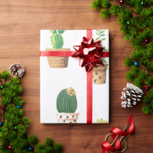Grönt Dessert Succult Cactus in Pots Presentpapper