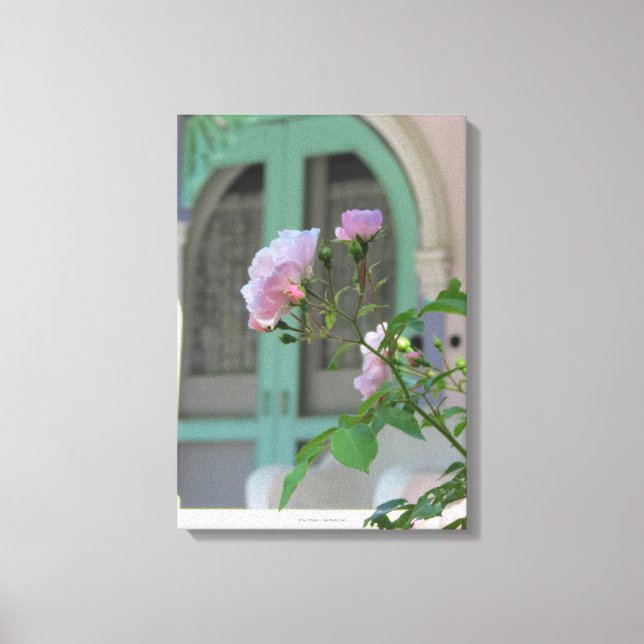 Grönt Door och Ro - Martha's Vineyard Canvastryck (Framsida)