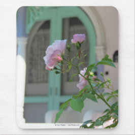 Grönt Door och Ro - Martha's Vineyard Musmatta