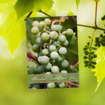 Grönt Druvor Vineyard Förlovningsfest