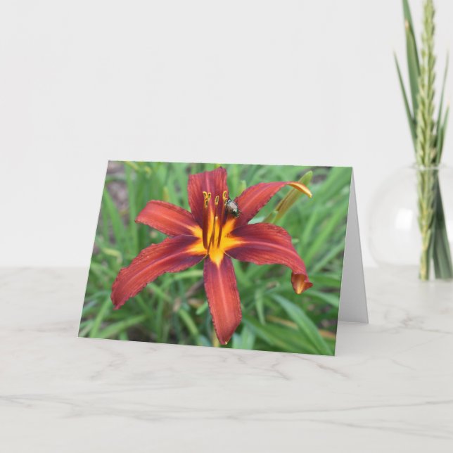 Grönt Earth Kort (Framsida)