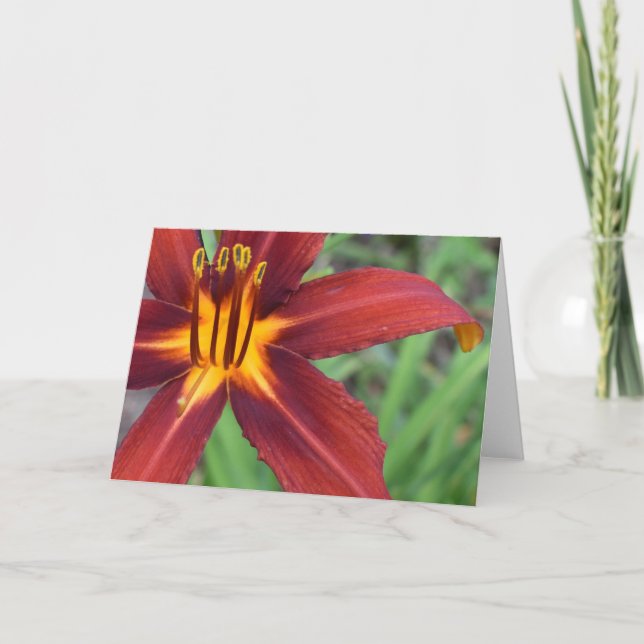 Grönt Earth Kort (Framsida)