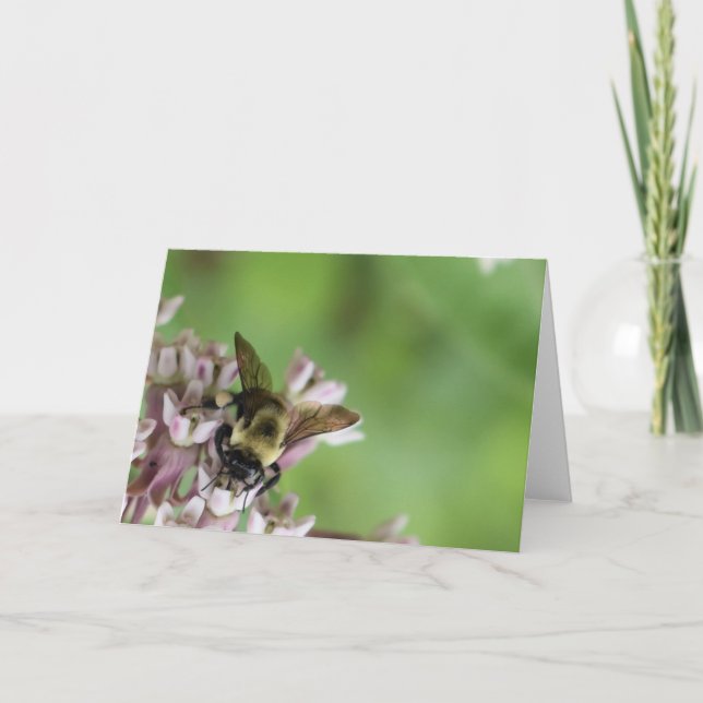 Grönt Earth Kort (Framsida)