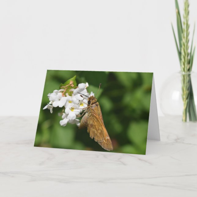 Grönt Earth Kort (Framsida)