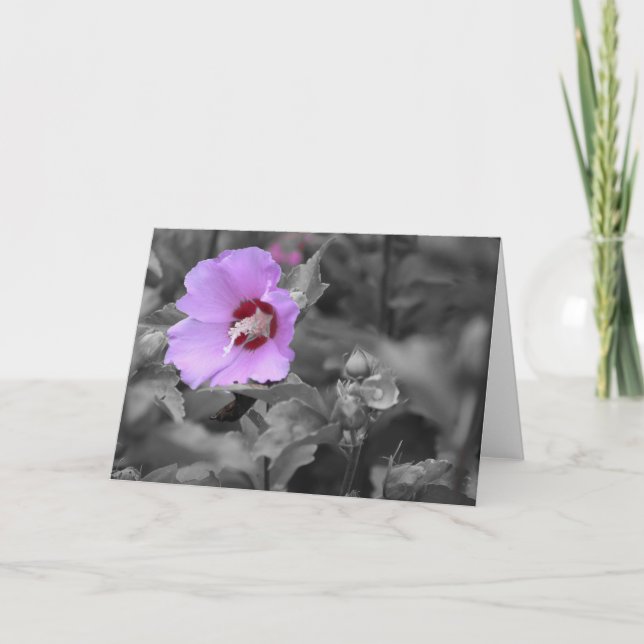 Grönt Earth Kort (Framsida)