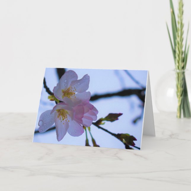 Grönt Earth Kort (Framsida)