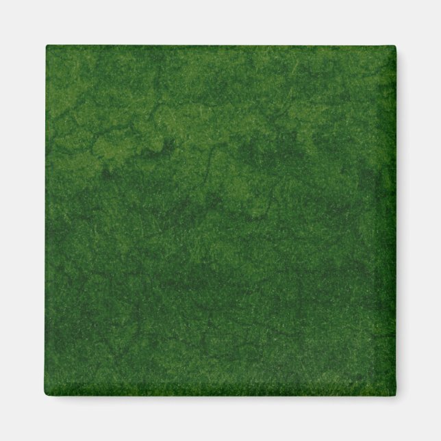 Grönt Earth Magnet (Framsidan)