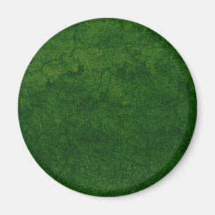 Grönt Earth Magnet