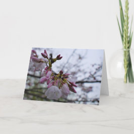 Grönt Earth Tack Kort