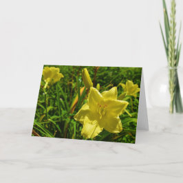 Grönt Earth Tack Kort