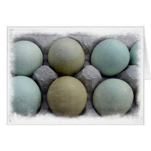 Grönt Eggs Hälsningskort