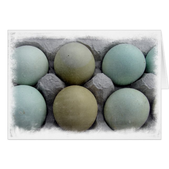 Grönt Eggs Hälsningskort (Framsidan Horizontal)