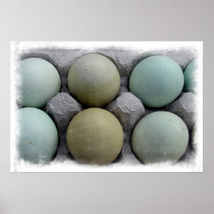Grönt Eggs Poster