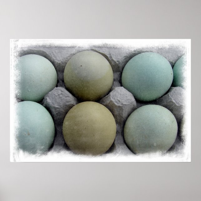 Grönt Eggs Poster (Framsidan)