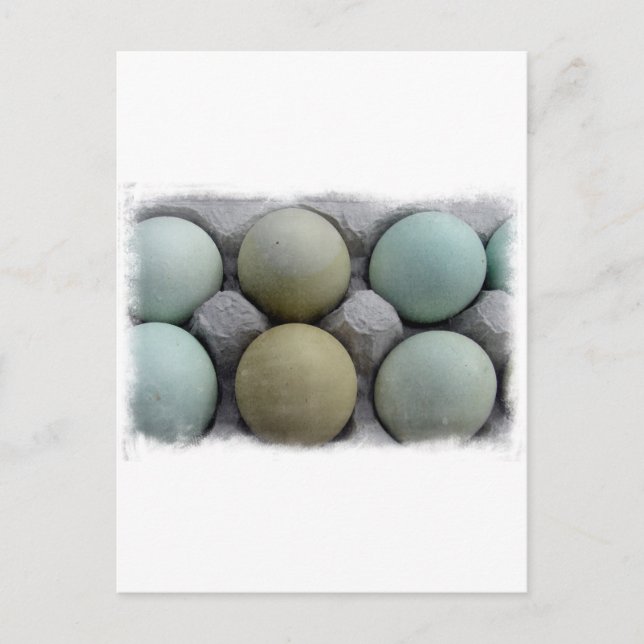 Grönt Eggs Vykort (Framsida)