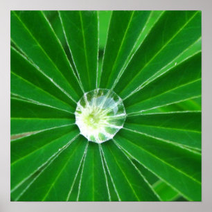 Grönt Energy Poster Skriv ut