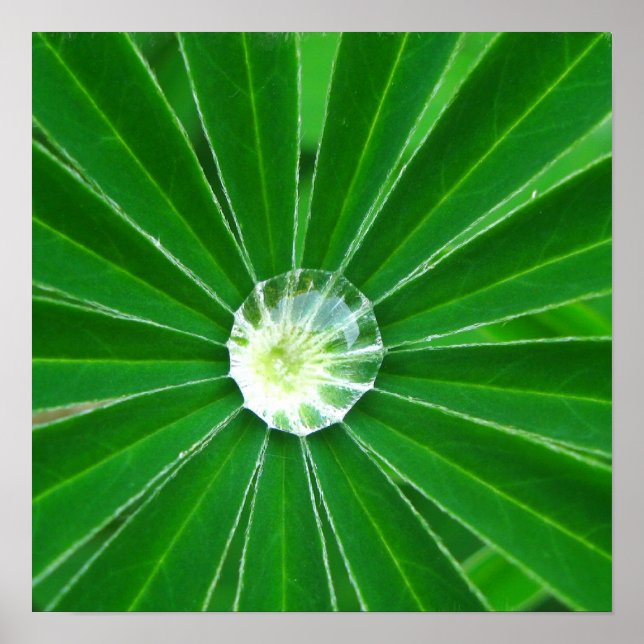 Grönt Energy Poster Skriv ut (Framsidan)