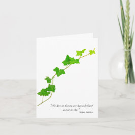 Grönt Engelska Ivy Vine Sympathy Tack