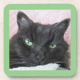 Grönt Eyed Black Cat Underlägg