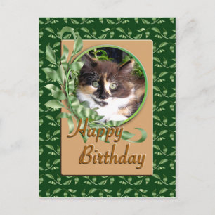Grönt Eyed Calico Kitten Birthday Postcard Vykort
