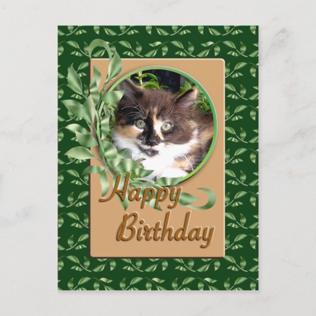 Grönt Eyed Calico Kitten Birthday Postcard Vykort (Framsida)
