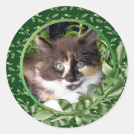Grönt Eyed Calico Kitten Runt Klistermärke