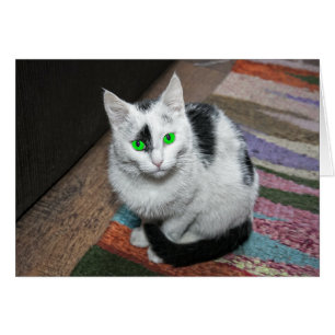 Grönt Eyed Cat Greeting Card Hälsningskort