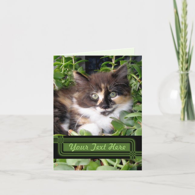 Grönt Eyed Cat Note Card Kort (Framsida)