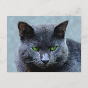 Grönt Eyed Cat-vykort Vykort