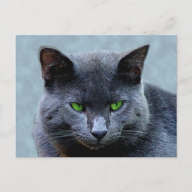 Grönt Eyed Cat-vykort Vykort (Framsida)