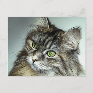 Grönt Eyed Fluffy Cat Oljemålning Vykort