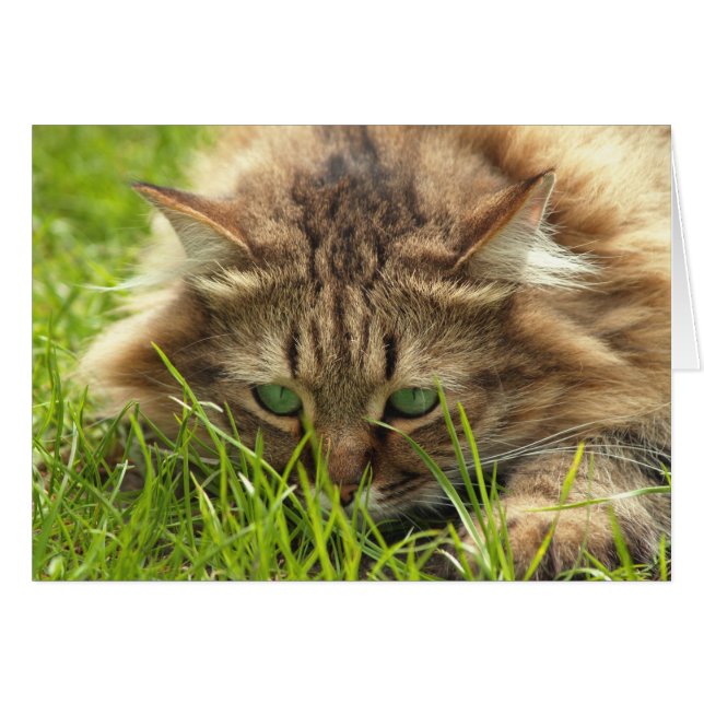 Grönt Eyed Hunter Hälsningskort (Framsidan Horizontal)