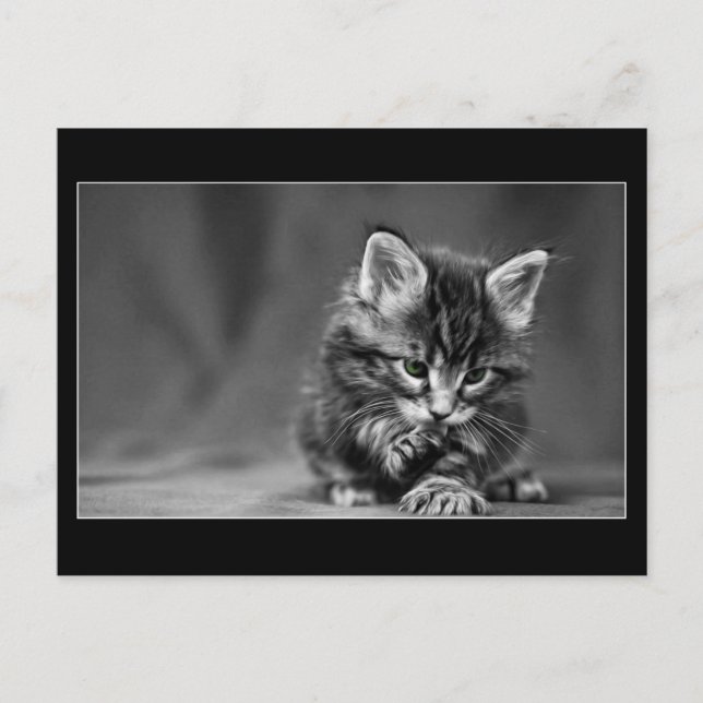 Grönt Eyed Kitten Vykort (Framsida)