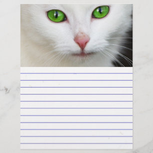 Grönt Eyed White Cat