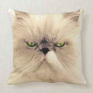 Grönt Eyed White Persian Cat Kudde