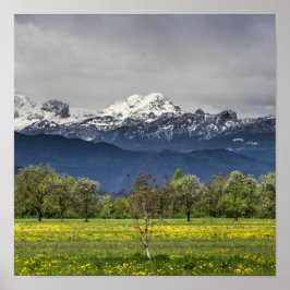 Grönt fält med snöhaltiga alpernor poster