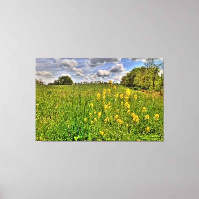 Grönt Fält och Cloudy Blå himmel Canvastryck (Framsida)