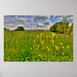 Grönt Fält och Cloudy Blå himmel Poster
