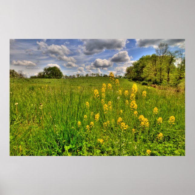 Grönt Fält och Cloudy Blå himmel Poster (Framsidan)