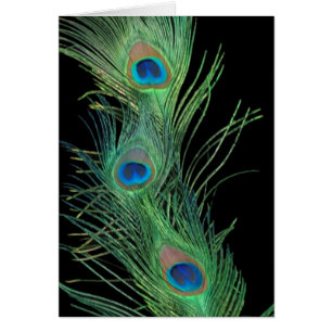 Grönt Feathers with Black Hälsningskort